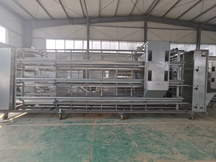 оборудование для птицеводства