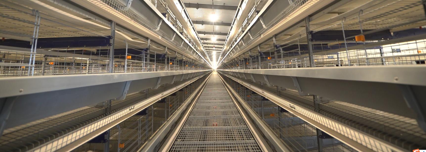 Оборудование для куриных клеток модели H